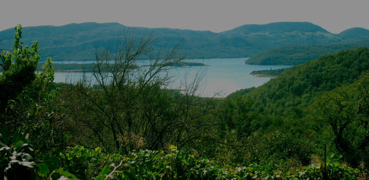 Ecology